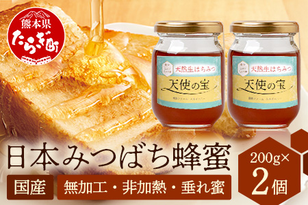 【垂れ蜜】日本みつばち 蜂蜜「天使の宝」2個 セット 希少 ニホンミツバチ 100％ はちみつ 高純度 高濃度 自然落下 無添加 ハチミツ 蜂蜜 ハニー ハチミツ