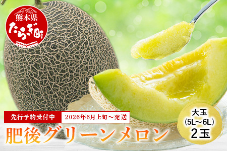 【2026年6月上旬順次発送 先行予約】大玉 肥後グリーンメロン 2玉 約4.6kg以上 熊本県産【 果物 フルーツ グリーンメロン 先行予約 4.6kg 青肉 期間限定 数量限定 熊本県 多良木町 】