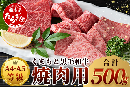 【 A4～ A5 等級 】くまもと黒毛和牛 焼肉用 500ｇ