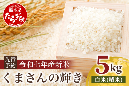 令和7年産 新米 くまさんの輝き 5kg (令和7年10月中旬より順次発送) 新米 熊本県 多良木町 お米 5キロ 米 白米 精米 5kg