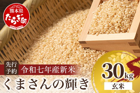 令和7年産新米【玄米 30kg】 くまさんの輝き 30kg (令和7年10月中旬より順次発送) 新米 熊本県 多良木町 お米  米 玄米