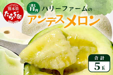【2026年5月上旬～発送】アンデス メロン 青肉 5玉 (合計 約4.5～5kg) 熊本県 多良木町産 果物 フルーツ メロン 先行予約 5個 青肉 ミツバチ交配 期間限定 数量限定 先行予約 109-0501