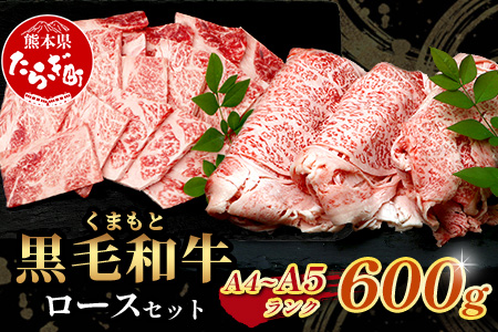 【年末発送】A4/A5 くまもと黒毛和牛 ロース セット 計600g ( すき焼き / 焼肉 各300g ) 本場 熊本県 ブランド 牛 黒毛 和牛 厳選 A4以上 肉 上質 熊本県 年内発送 年内配送 年末年始