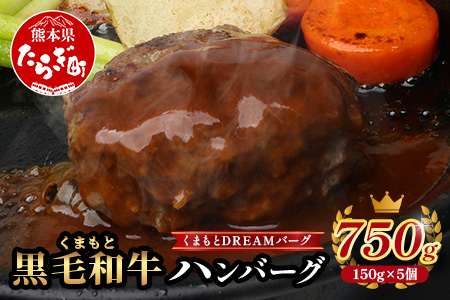 《12月終了》くまもと黒毛和牛 DREAMバーグ 150g×5 計750g 牛肉 100％ 生 ハンバーグ 熊本 ブランド牛 黒毛 和牛 はんばーぐ 熊本県 113-0508