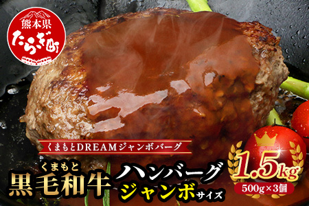 《12月終了》ビッグサイズ！くまもと 黒毛和牛 DREAMジャンボバーグ 500g×3パック 計1.5g 《 牛肉 100％ 国産 大きな ボリューム ハンバーグ お祝い パーティ 熊本 ブランド牛 黒毛 和牛 上質 はんばーぐ 惣菜 熊本県 》 113-0509
