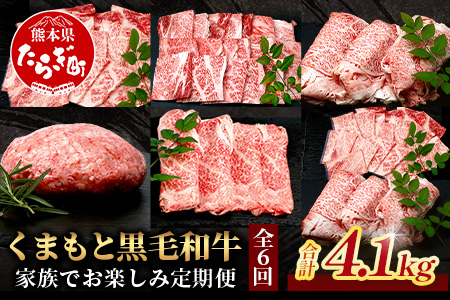 《12月終了》【定期便6回】くまもと黒毛和牛 家族でお楽しみ定期便 《 ロース すき焼き 焼肉 赤身 ハンバーグ10個 》【合計4.1kg】黒毛 和牛 焼き肉 すスキヤキ 焼き肉 上質 ブランド牛 国産 牛肉 冷凍 熊本県