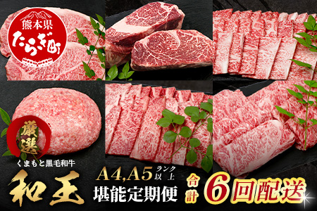 【定期便6回】くまもと黒毛和牛【 和王 堪能 定期便 】6回配送 ブランド牛 プレミアム 定期便 サーロイン ヒレ ステーキ 最上級 黒毛 和牛 牛肉 国産 A4 A5 熊本県 冷凍