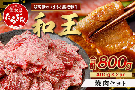 くまもと黒毛和牛(和王) 焼肉 セット 800g(400g×2)  ブランド牛 肉 焼き肉 やきにく BBQ アウトドア 牛肉 小分け 冷凍 精肉 国産 牛 プレミアム品質 122-0511 通常発送
