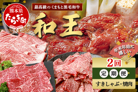 【定期便2回】くまもと 黒毛和牛 (和王) 年末年始 に嬉しい すきしゃぶ・焼肉 定期便【12月/1月配送】合計820g ブランド牛 肉 ロース モモ すき焼き すきやき スキヤキ しゃぶしゃぶ シャブシャブ 焼き肉 やきにく 牛肉 お肉 定期便 年末 年始 年内 発送 プレミアム品質 122-0602