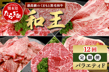 【定期便12回】くまもと 黒毛和牛 (和王) バラエティ 定期便F【合計9.58kg】 ブランド牛 定期便 肉 サーロイン ロース ステーキ モモ すき焼き しゃぶしゃぶ スキヤキ 焼肉 焼き肉 やきにく 牛肉 お肉 1年 12か月 定期便 プレミアム品質 122-0610