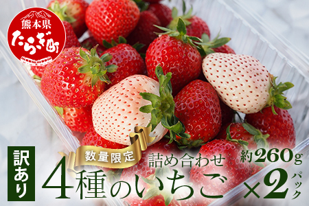 [訳あり]熊本県産 いちご 詰め合わせ 約260g×2パック 産地直送 国産 新鮮 フレッシュ 果物 苺 103-0009