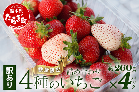 [訳あり]熊本県産いちご 詰め合わせ 約260g×4パック 産地直送 国産 新鮮 フレッシュ 果物 苺 103-0010