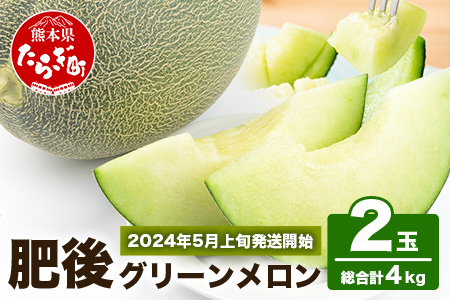 [2024年5月下旬〜発送][大玉]肥後グリーンメロン 大玉(2玉/計4kg以上) 先行予約 フルーツ 果物