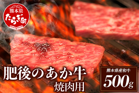 [定期便6回]熊本県産 和牛 肥後のあか牛 焼肉用 500g 計3kg [ 牛肉 和牛 赤牛 あか牛 焼き肉 焼肉 焼き肉用 ] 030-0382