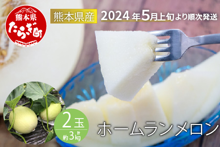 [2024年5月上旬発送開始]熊本県産 ホームランメロン 2玉 約3kg メロン フルーツ 果物