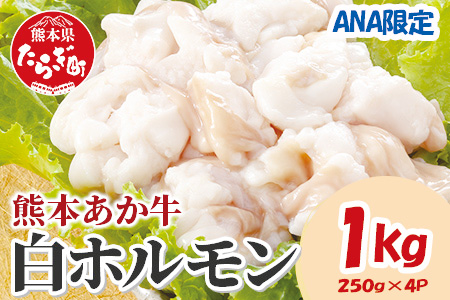 [ANA限定]熊本あか牛 白ホルモン 1kg(250g×4パック)熊本 熊本県産 あか牛 冷凍 真空 もつ鍋 ホルモン 焼き肉