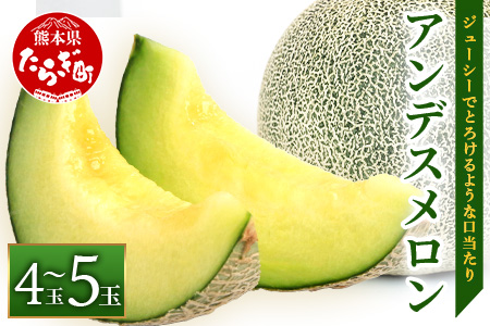 【2026年5月上旬～発送・先行予約】熊本県産 アンデスメロン 4~5玉 約5kg メロン フルーツ 果物 083-0696