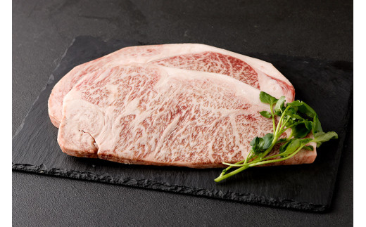 黒樺牛 【3回 定期便】 ロース ステーキ 400g 200g×2パック 計1200g 牛肉 ステーキ 和牛 牛 お肉 黒毛和牛 くろはなぎゅう 国産 九州産 熊本県産 冷凍