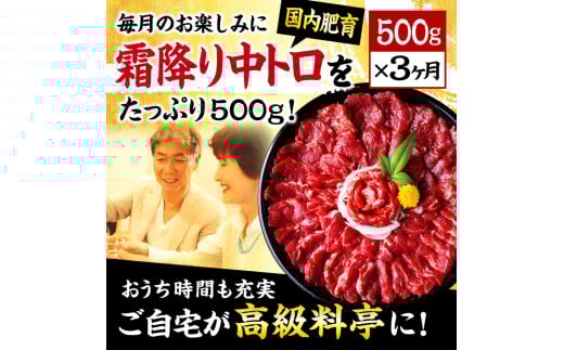 【3ヶ月定期便】熊本 馬刺し 霜降り たっぷり 500g 約50g×10パック