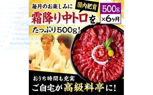 【6ヶ月定期便】熊本 馬刺し 霜降り たっぷり 500g 約50g×10パック
