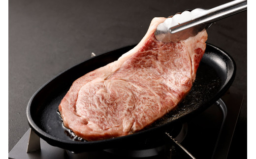 黒樺牛 【2回 定期便】 ロース ステーキ 400g 200g×2パック 計800g 牛肉 ステーキ 和牛 牛 お肉 黒毛和牛 くろはなぎゅう 国産 九州産 熊本県産 冷凍