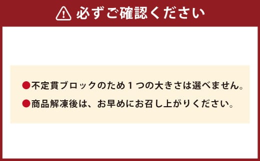 【フジチク ふじ馬刺し】馬刺し 上赤身 計約800g