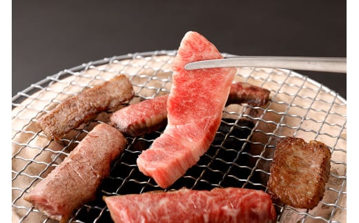 黒樺牛 焼肉用 カルビ 750g 250g×3パック 牛肉 焼肉 和牛 牛 お肉 黒毛和牛 くろはなぎゅう 国産 九州産 熊本県産 冷凍