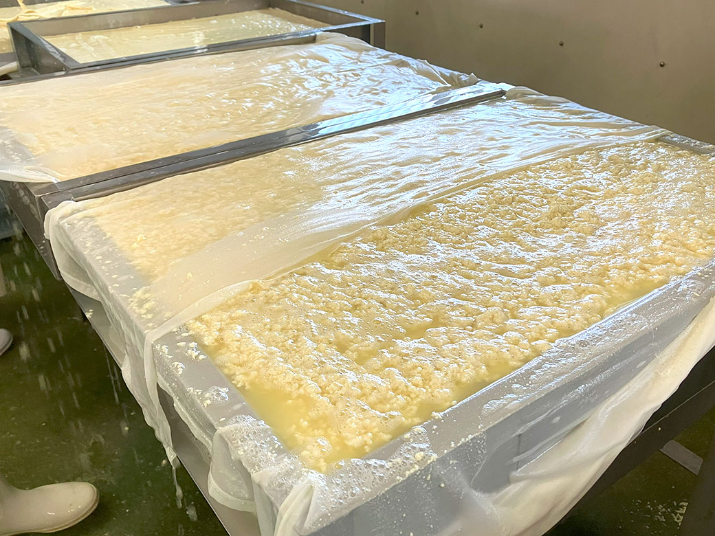 平家の落武者 保存食 詰め合わせ （徒士） セット 計8種 豆腐 伝統食 おつまみ もろみ豆腐 かりんとう