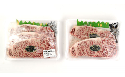 くまもと黒毛和牛 ロースステーキ 1.1kg(220g×5枚)