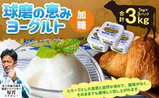 球磨の恵み ヨーグルト(加糖) 3kg(1kg×3パック) ヨーグルト 加糖