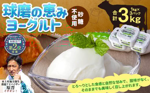 球磨の恵み ヨーグルト(砂糖不使用) 3kg(1kg×3パック) ヨーグルト 無糖