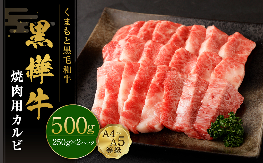 くまもと黒毛和牛 黒樺牛 A4~A5等級 焼肉用カルビ 500g（250g×2）