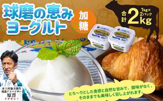 球磨の恵み ヨーグルト(加糖) 2kg(1kg×2パック) ヨーグルト 加糖
