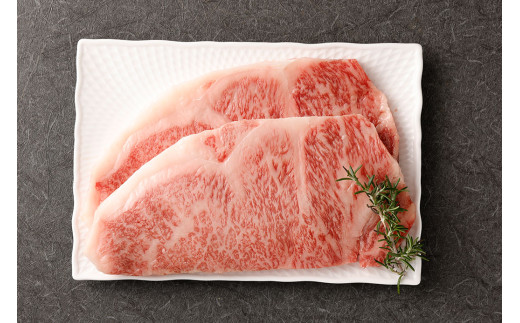 黒樺牛 【2回 定期便】 サーロイン ステーキ 400g 200g×2パック 計800g 牛肉 ステーキ 和牛 牛 お肉 黒毛和牛 くろはなぎゅう 国産 九州産 熊本県産 冷凍