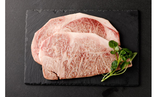 黒樺牛 【2回 定期便】 ロース ステーキ 400g 200g×2パック 計800g 牛肉 ステーキ 和牛 牛 お肉 黒毛和牛 くろはなぎゅう 国産 九州産 熊本県産 冷凍