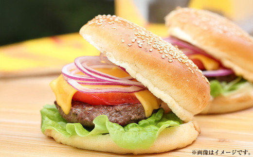 ハンバーガー パティ約100g×5枚 計:500g