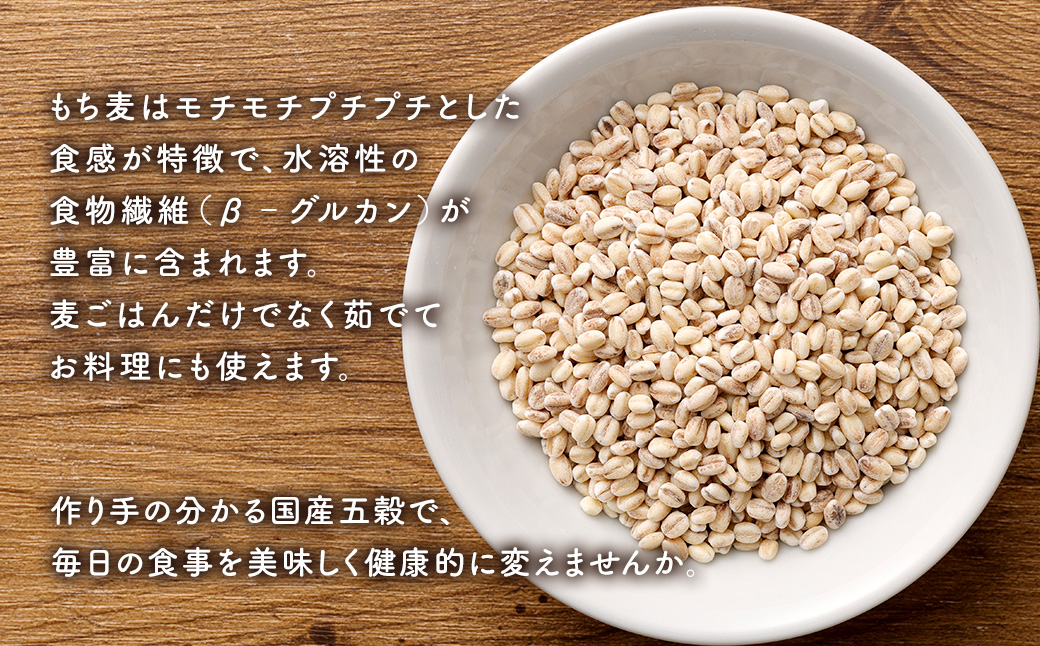 【ご自宅用】もちもち丸麦 1kg×2袋