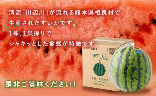 相良村産 大玉スイカ（羅皇ザ・スウィート） 1玉（7kg以上）