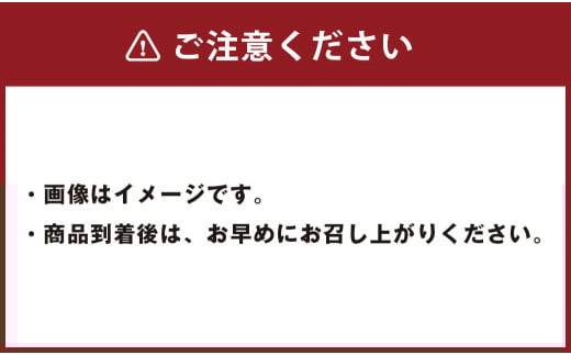 くまもとあか牛 サーロイン ステーキ 約500g 精肉 冷凍