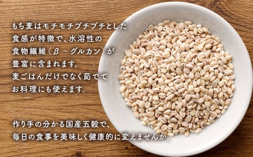 もちもち丸麦1kg×2袋 セット
