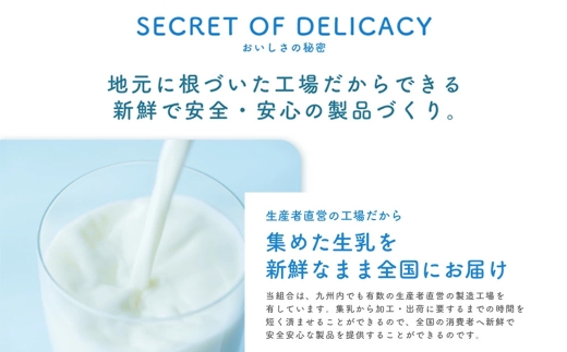球磨の恵み ヨーグルト (加糖) 合計 3kg (1kg×3パック) 乳製品 生乳 朝食 おやつ 相良村