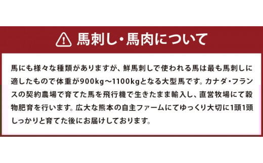 霜降り 馬刺し 約320g (約90g×3～5個) タレ付き