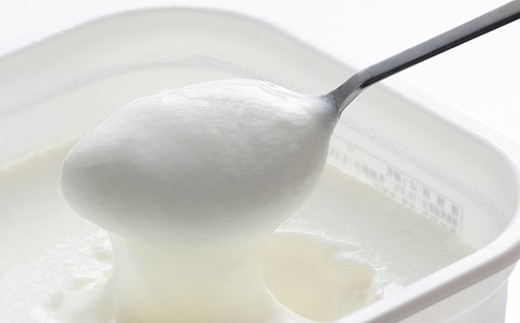 球磨の恵み ヨーグルト 砂糖不使用 1kg×6パック 乳製品 生乳 朝食 おやつ 相良村