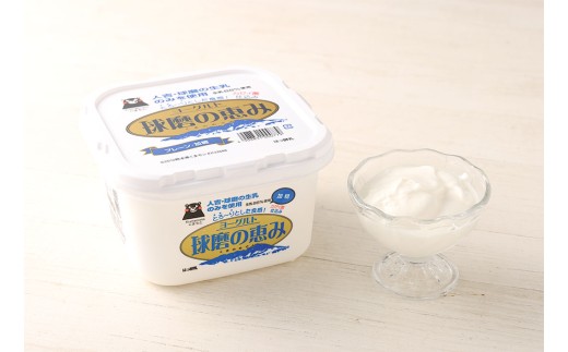 球磨の恵み A2牛乳 球磨の恵みヨーグルト 加糖 セット