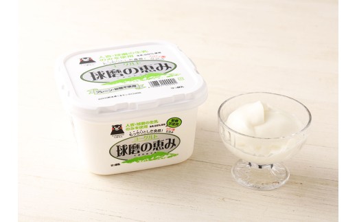 球磨の恵み A2牛乳 球磨の恵みヨーグルト 砂糖不使用 セット
