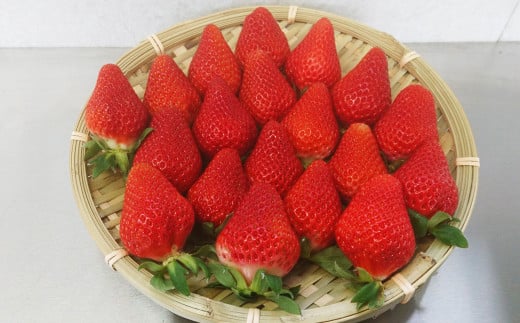 相良村産 いちご「ゆうべに」 250g×2パック