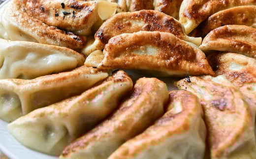 くまもと あか牛 100％ 餃子 60個 20個入り×3袋 冷凍