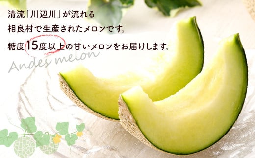 相良村産 春メロン（アンデス） 2玉（2L以上）