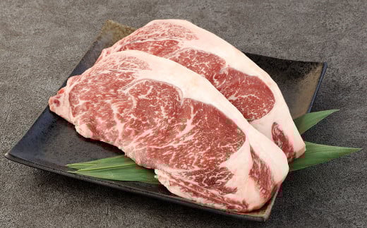 あか牛 サーロインステーキ 400g ( 200g×2枚 ) 牛肉 ステーキ 冷凍
