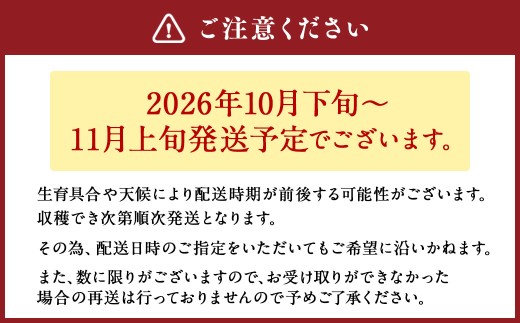 相良村産 秋メロン（アールス） 2玉（3L以上） 【2026年10月下旬～11月上旬発送予定】
